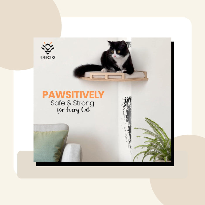 Wall-Mounted Cat Climber