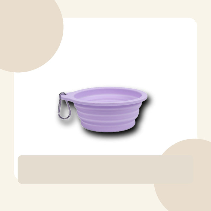 Soft Silicone Travel Bowl