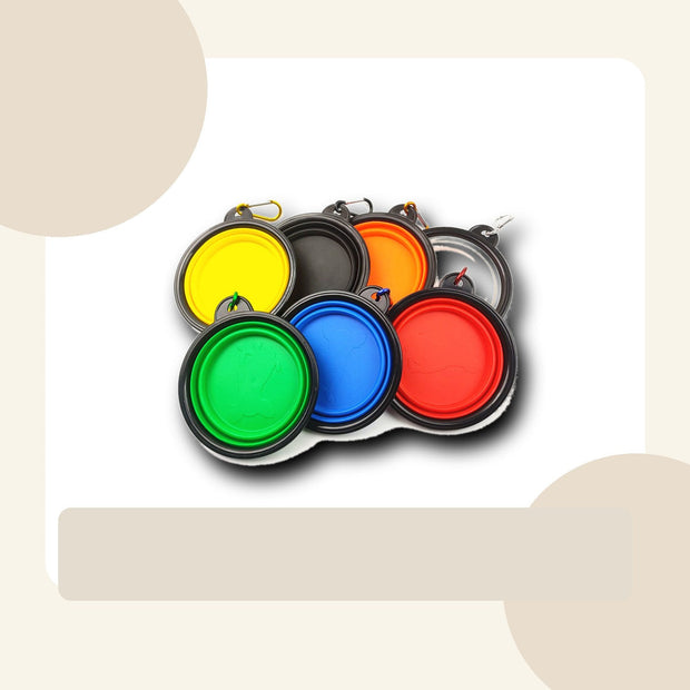 Color Pop Foldable Bowl