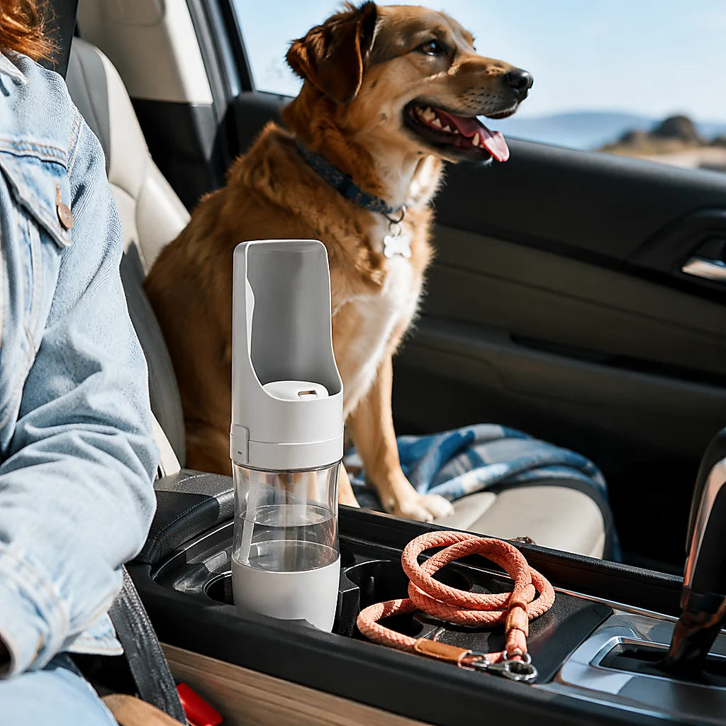 One-Button Travel Water Bottle