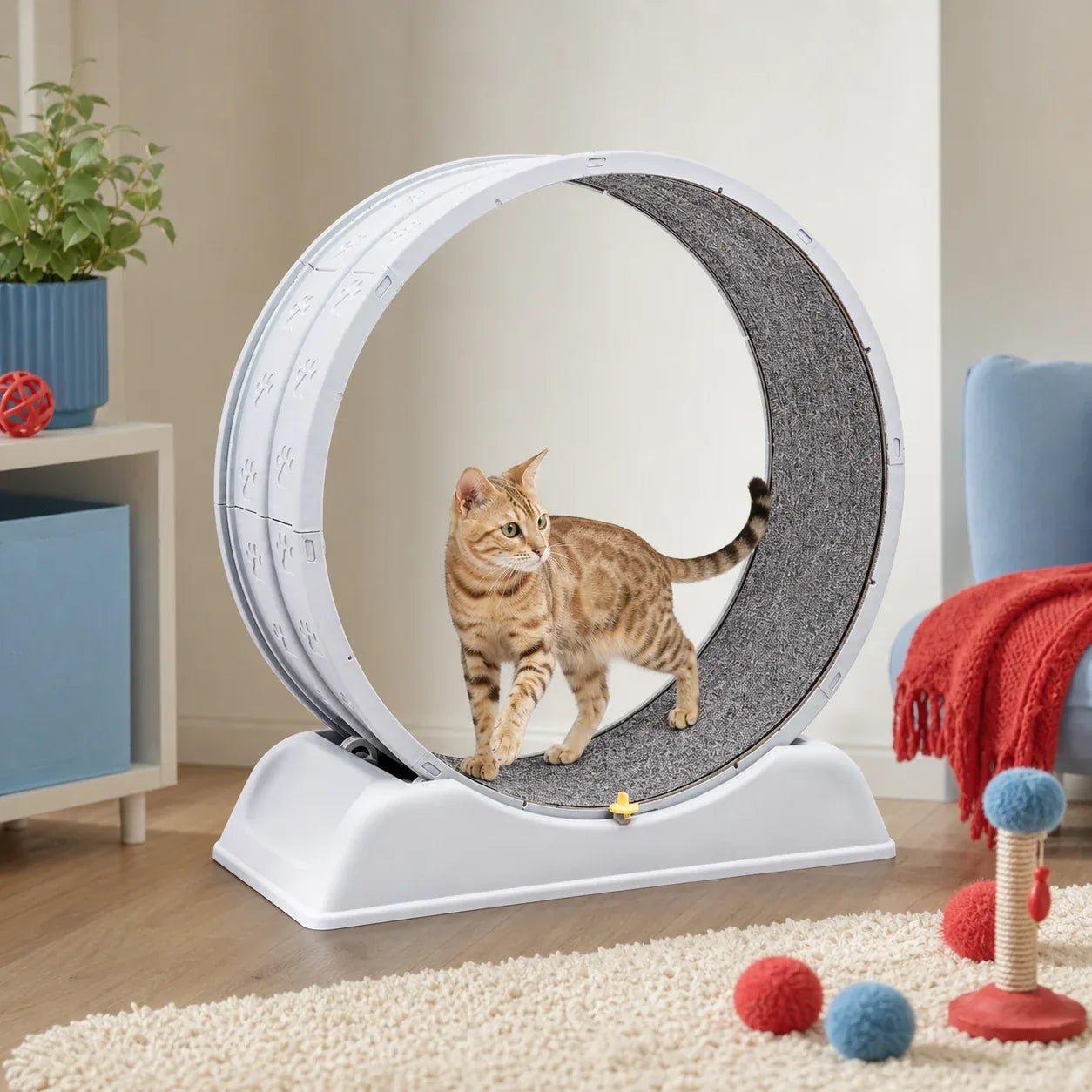 Quiet Cat Exercise Wheel