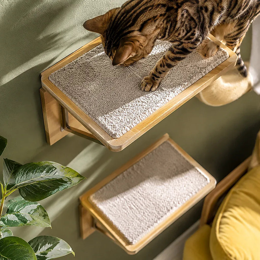 Wall-Mounted Cat Climber