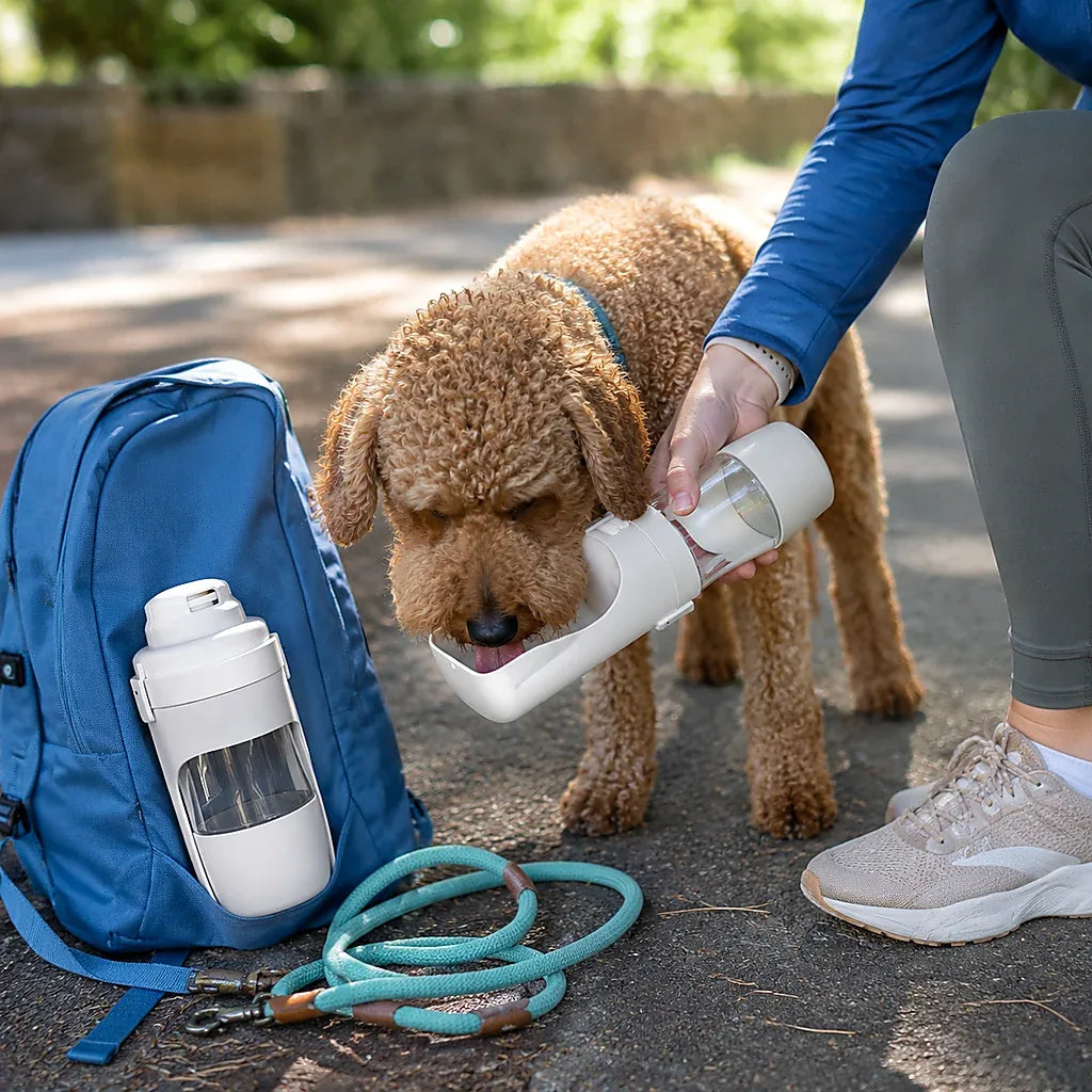 One-Button Travel Water Bottle