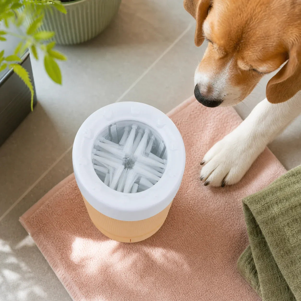 Semi-Automatic Paw Washing Cup