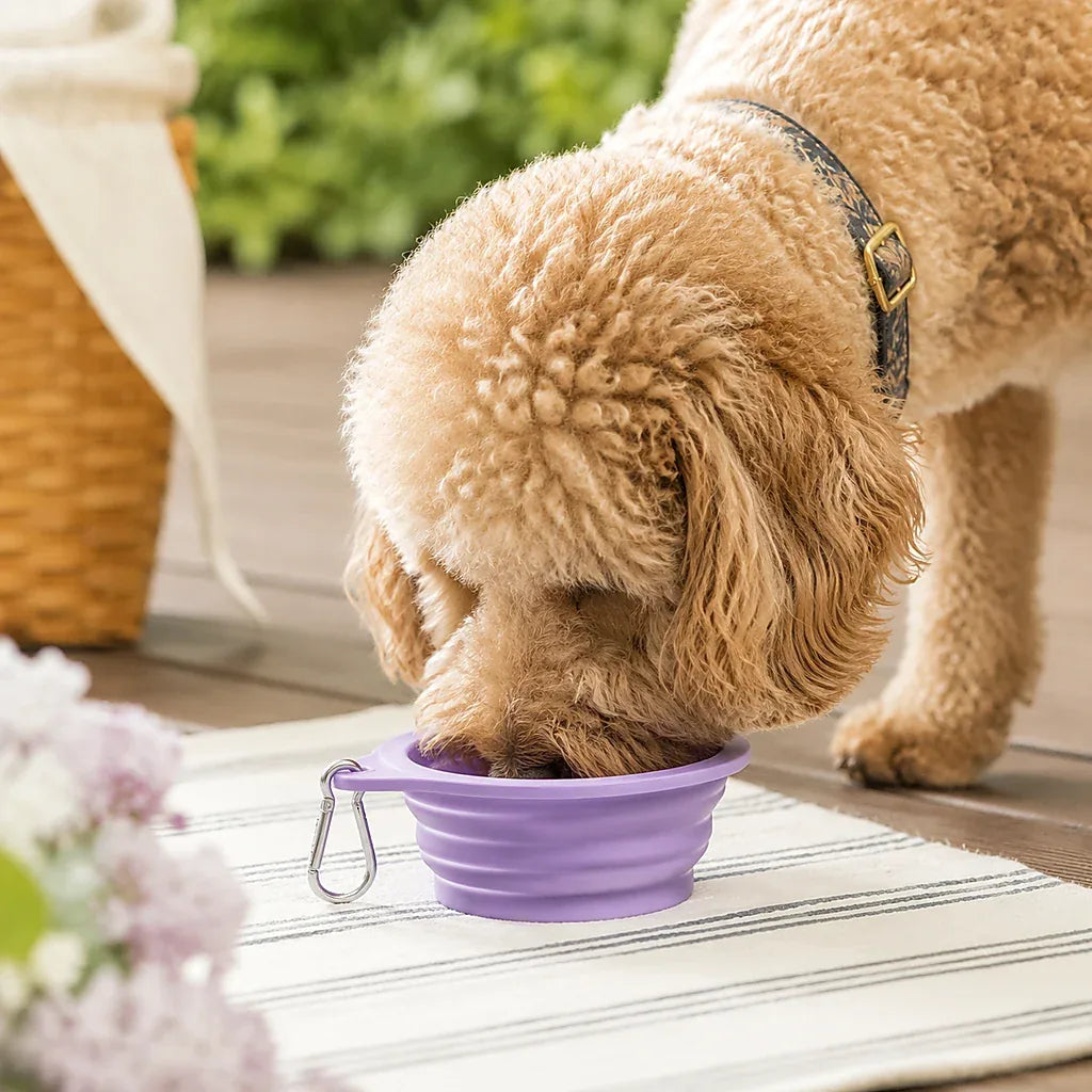 Soft Silicone Travel Bowl