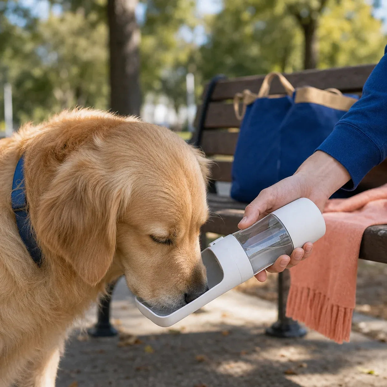 One-Button Travel Water Bottle