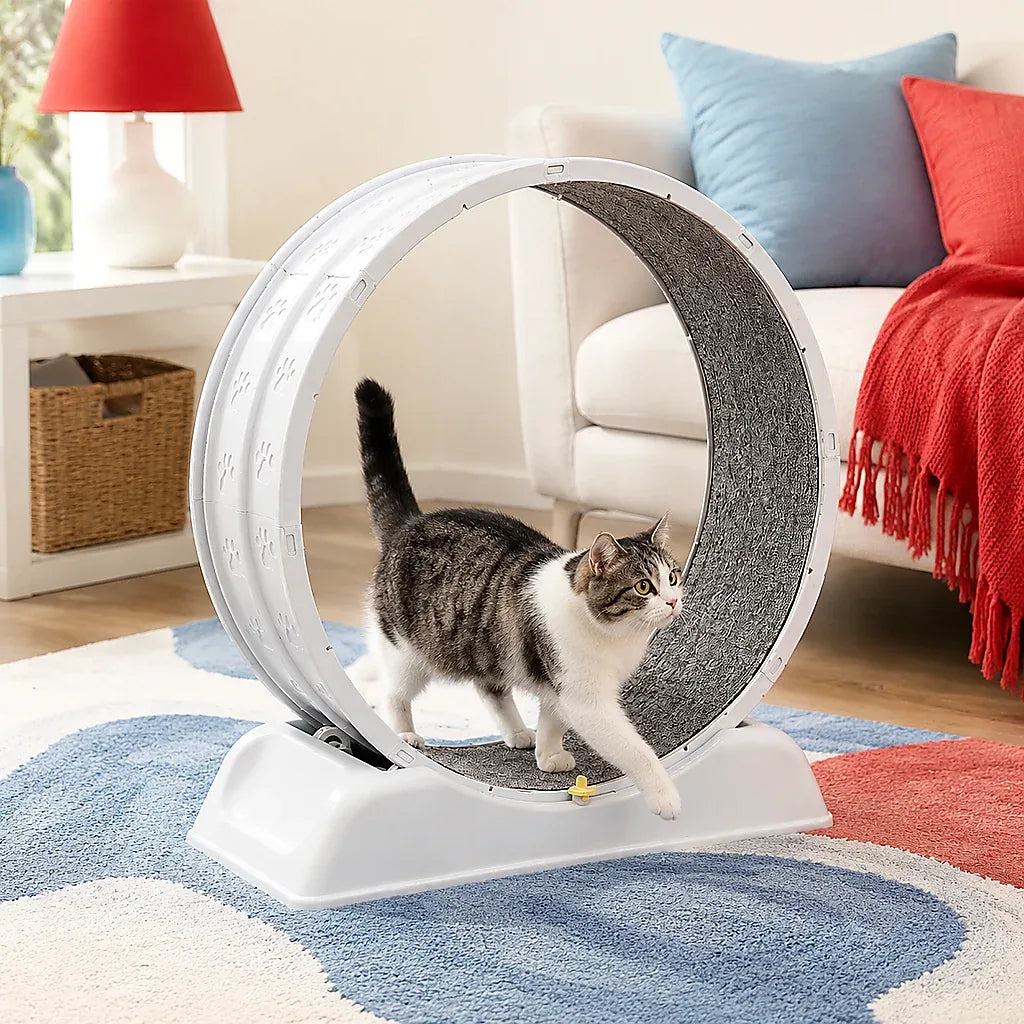 Quiet Cat Exercise Wheel