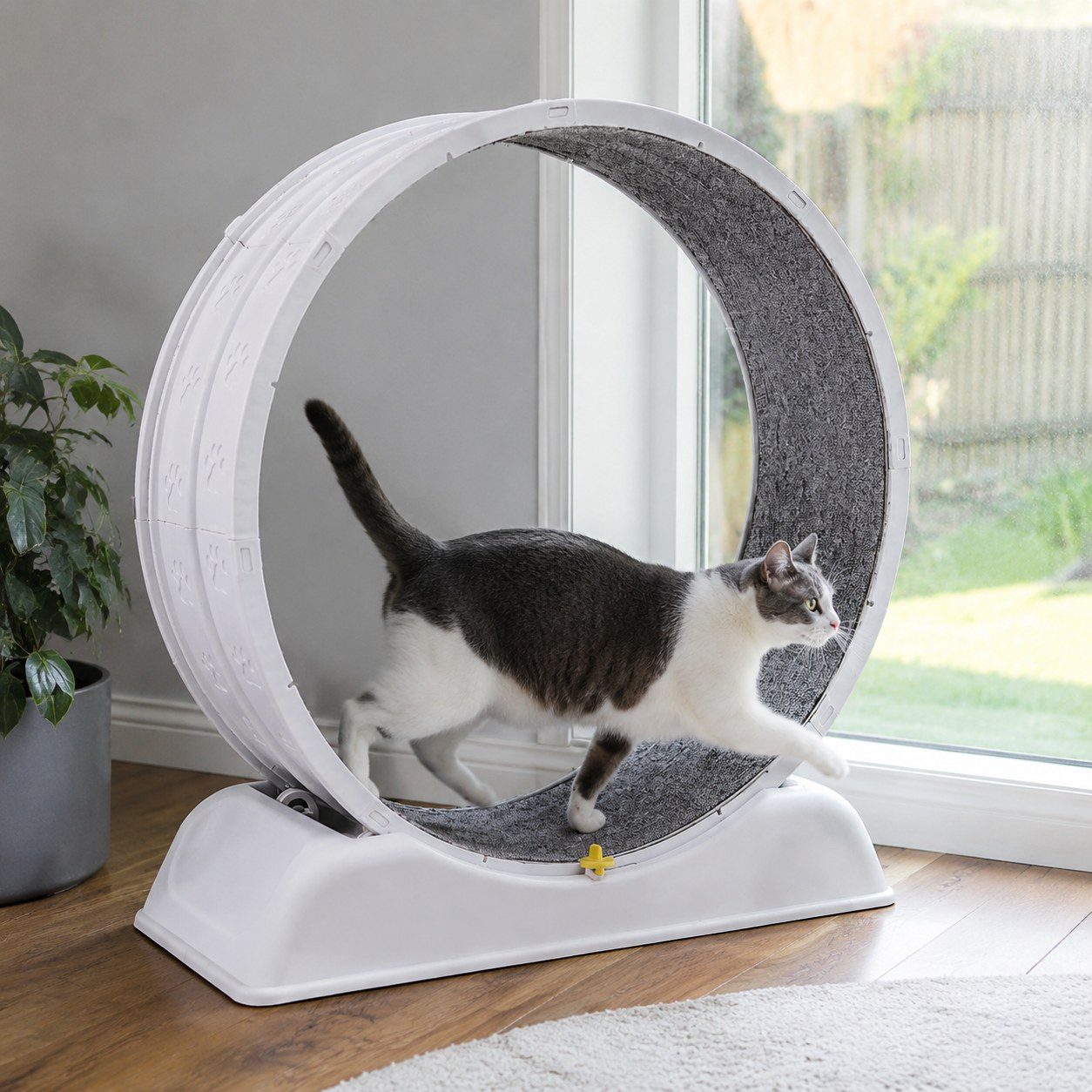 Quiet Cat Exercise Wheel view 2