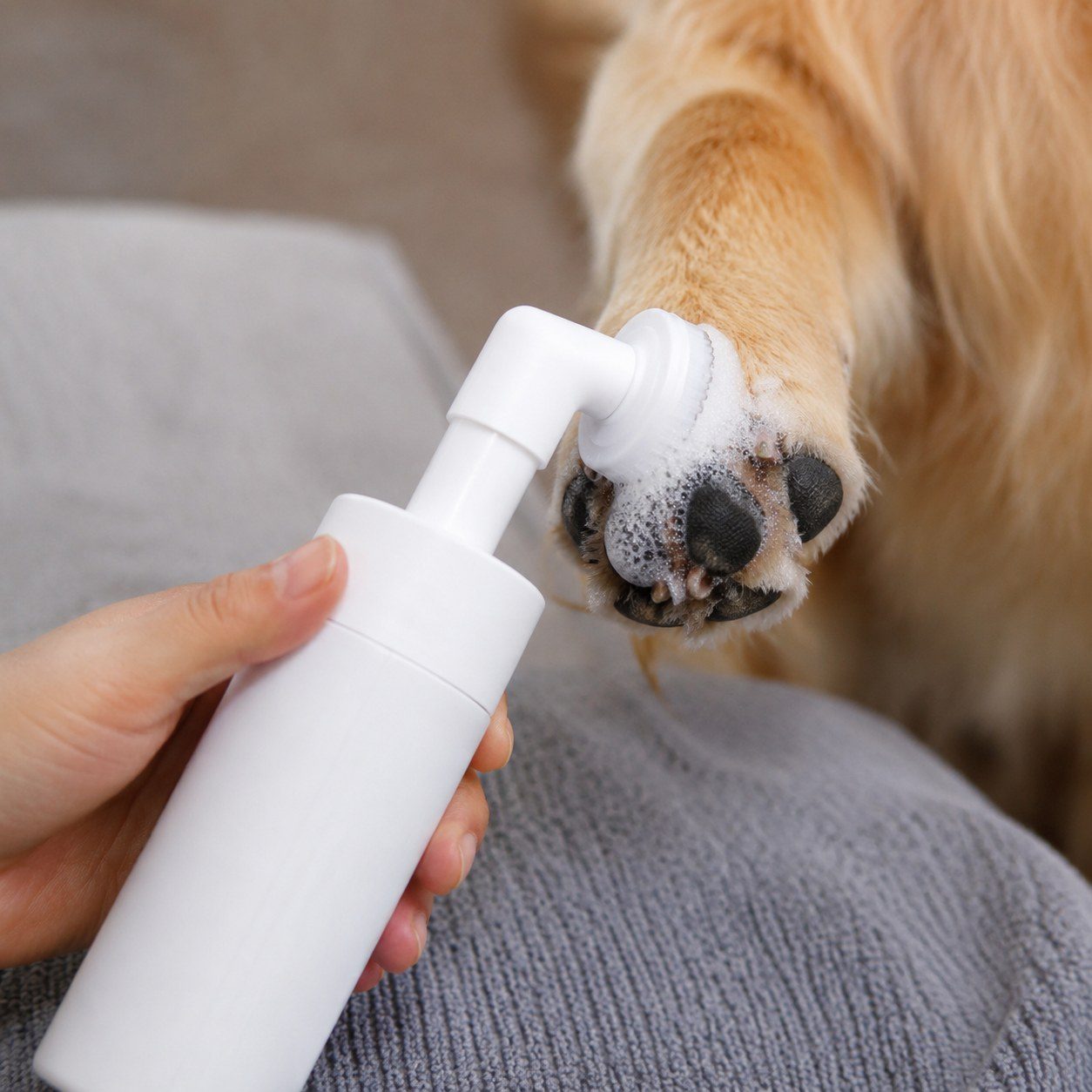 Foaming Paw Cleaner Brush view 2