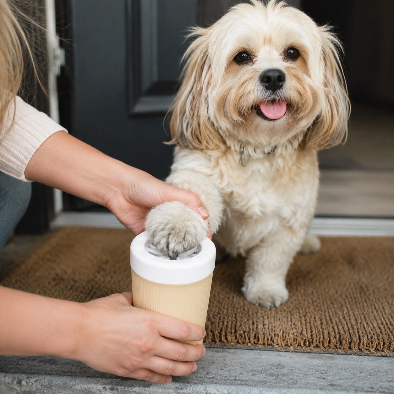 Semi-Automatic Paw Washing Cup view 3